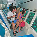 CORAL VIEWING