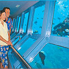 UNDERWATER OBSERVATORY