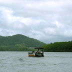 DAINTREE RIVER CRUISE