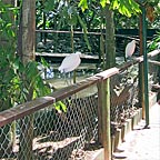 LEADING WILDLIFE PARK