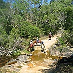 TRAIL RIDE THROUGH THE AUSTRALIA BUSH SAVANNAH