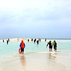 BEAUTIFUL CORAL SAND