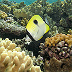EXPLORE THE MARINELIFE UP CLOSE!