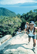 TREK TO THE LIGHTHOUSE
