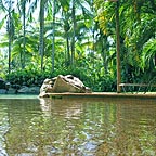 FREEFORM POOL