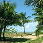 DIRECT BEACH ACCESS