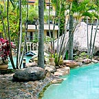 TROPICAL GARDENS