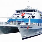 DAILY DEPARTURES
