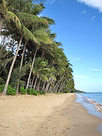 ELLIS BEACH