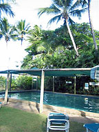 LARGE SHADY POOL