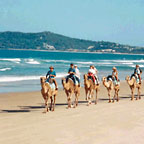 BEACH RIDES