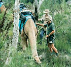 BUSHLAND SAFARI