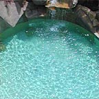 HEATED POOL