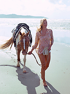Situated at pristine Wonga Beach