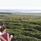 CAIRNS HIGHLANDS