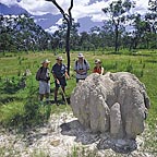 TERMITE MOUND