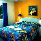 TWO & THREE BEDROOMS