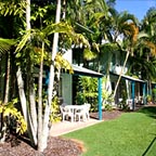 TROPICAL LANDSCAPING