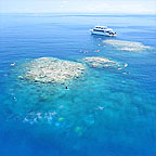 REEF LOCATIONS CHOSEN ON THE DAY