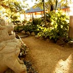 ENDOTA DAY SPA