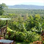 UNINTERRUPTED RAINFOREST VIEWS