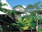 TROPICAL GARDENS