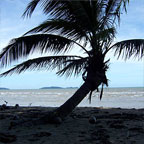 Wonga Beach
