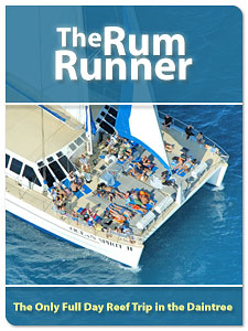 Rum runner Reef Trip from the Daintree Rainforest