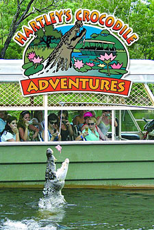 Hartley Creek Crocodile Adventures Cairns Australia