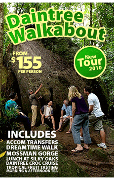 Down Under Tours Daintree Walkabout Tour