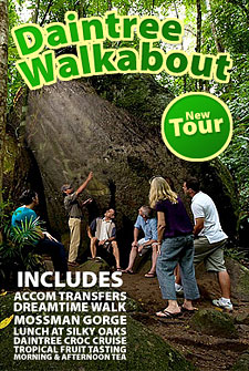 Down Under Tours Daintree Walkabout Tour