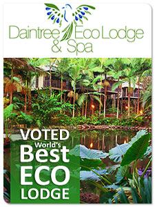 Daintree Eco Lodge