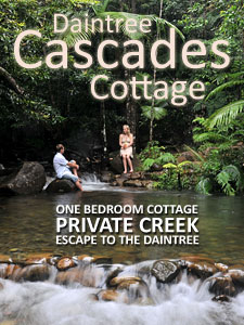 Daintree Cascades Cottage