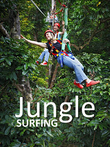 Daintree Jungle Surfing