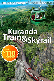 Kuranda Train & Skyrail