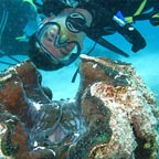 FREE INTRO OR CERT DIVE!
