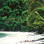 TRINITY BEACH