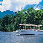 DAINTREE RIVER CRUISE
