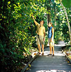 RAINFOREST WALKS
