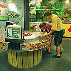 RAINFOREST INTERPRETATION CENTRE
