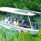 DAINTREE RIVER CRUISE