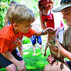 MANY ACTIVITIES THROUGHOUT THE DAY
