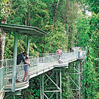 BRAND NEW MAMY CANOPY WALKWAY