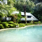 FERNTREE RAINFOREST LODGE
