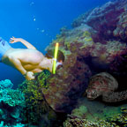 SNORKELLING EQUIPMENT INCLUDED