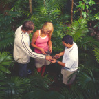 GUIDED RAINFOREST WALK
