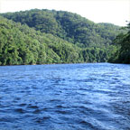 DAINTREE RIVER CRUISE