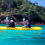 2.5HR PADDLE