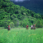OPEN PADDOCK TRAILS