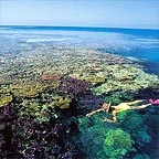 SPECTACULAR SNORKEL DESTINATIONS